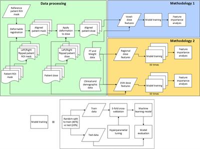 Impact of radiation dose distribution on nutritional supplementation needs in head and neck cancer radiotherapy: a voxel-based machine learning approach